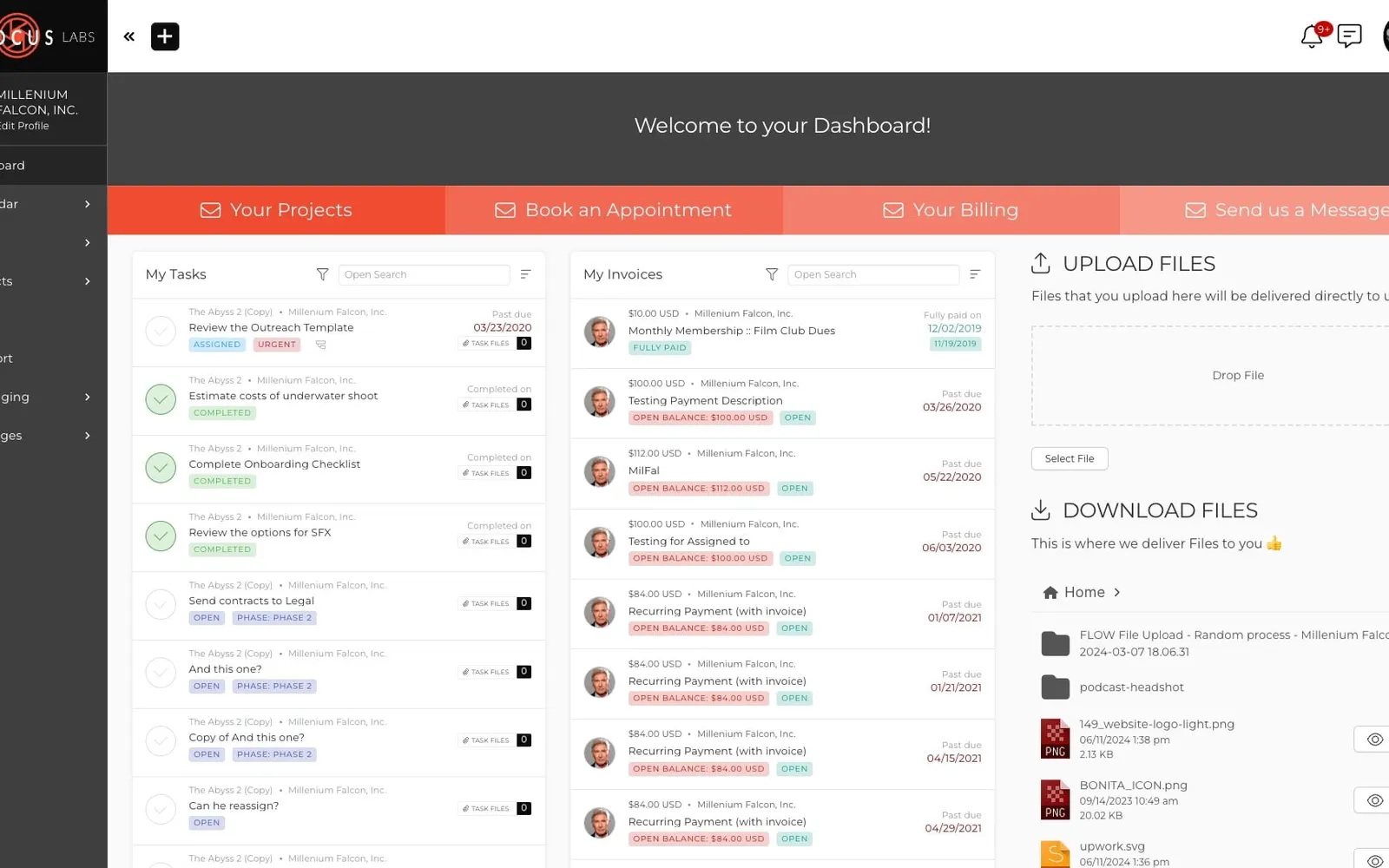 SuiteDash branded client portal dashboard showing a client's tasks, invoices and file uploads